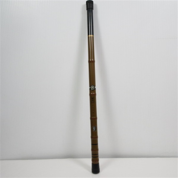 世紀ハエヤマベ２号十三